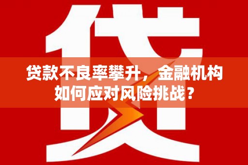 泰顺贷款不良率攀升，金融机构如何应对风险挑战？