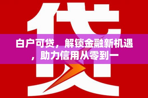 泰顺白户可贷，解锁金融新机遇，助力信用从零到一