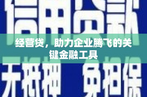 泰顺经营贷，助力企业腾飞的关键金融工具