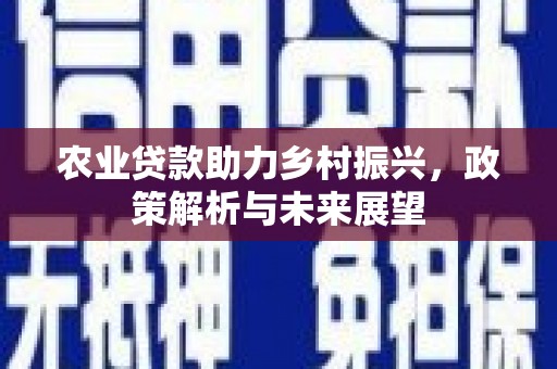 泰顺农业贷款助力乡村振兴，政策解析与未来展望