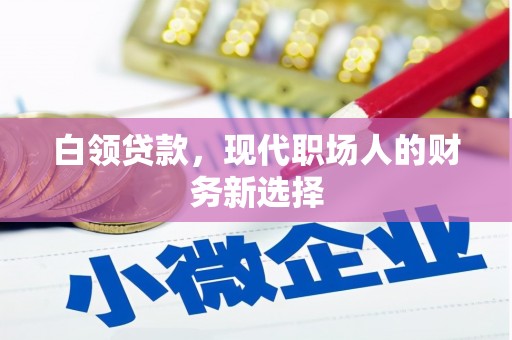 泰顺白领贷款，现代职场人的财务新选择