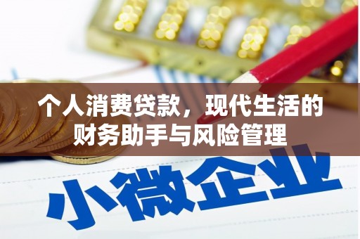 泰顺个人消费贷款，现代生活的财务助手与风险管理