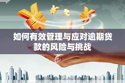泰顺如何有效管理与应对逾期贷款的风险与挑战