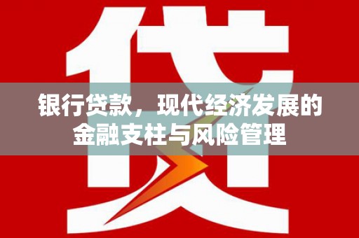 泰顺银行贷款，现代经济发展的金融支柱与风险管理