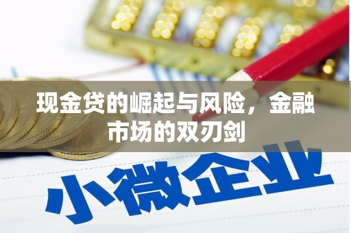 泰顺现金贷的崛起与风险，金融市场的双刃剑