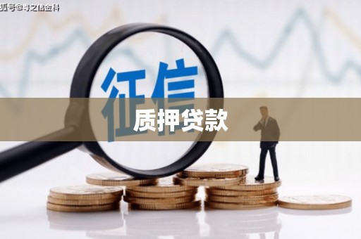 泰顺质押贷款