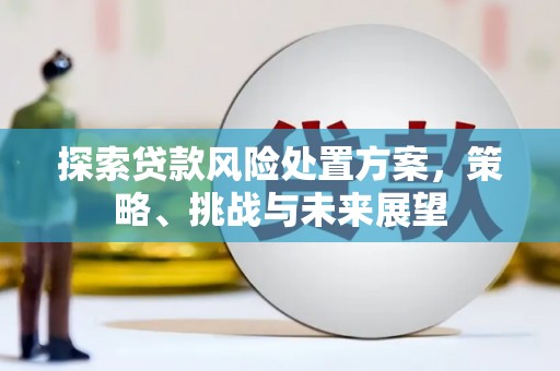 泰顺探索贷款风险处置方案，策略、挑战与未来展望