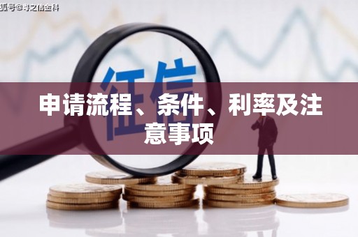 泰顺申请流程、条件、利率及注意事项