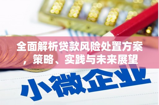 泰顺全面解析贷款风险处置方案，策略、实践与未来展望