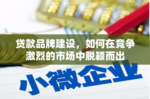 泰顺贷款品牌建设，如何在竞争激烈的市场中脱颖而出