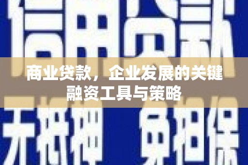泰顺商业贷款，企业发展的关键融资工具与策略
