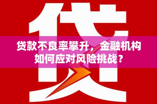 泰顺贷款不良率攀升，金融机构如何应对风险挑战？