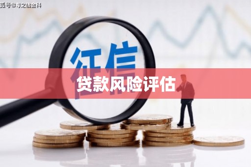 泰顺贷款风险评估