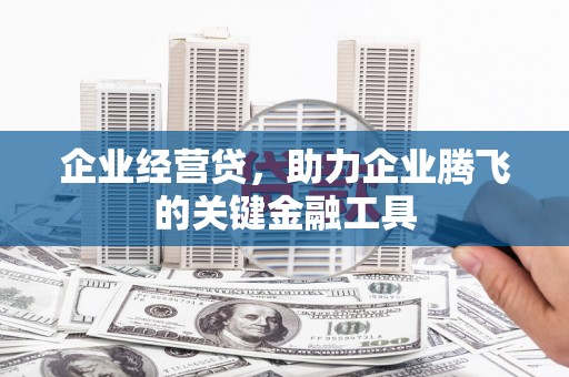 泰顺企业经营贷，助力企业腾飞的关键金融工具