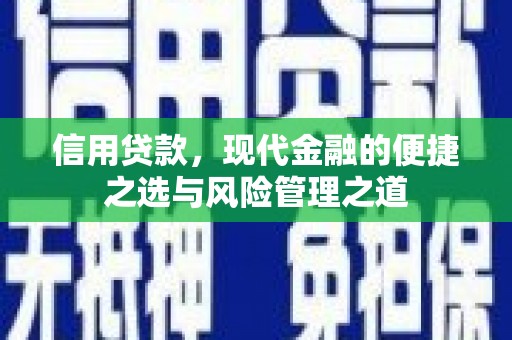 泰顺信用贷款，现代金融的便捷之选与风险管理之道