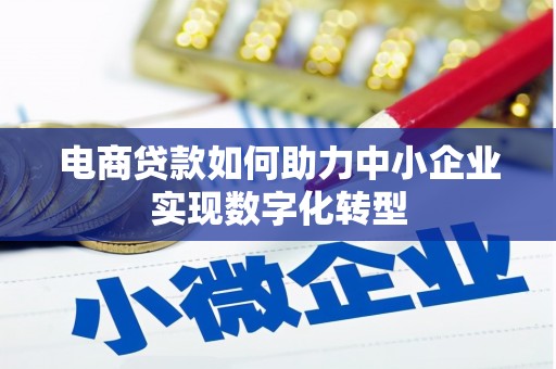 泰顺电商贷款如何助力中小企业实现数字化转型