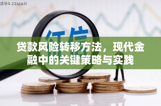 泰顺贷款风险转移方法，现代金融中的关键策略与实践