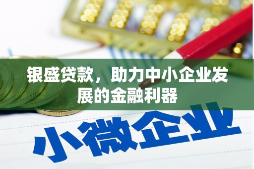 泰顺银盛贷款，助力中小企业发展的金融利器