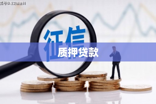泰顺质押贷款