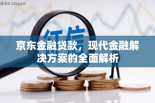 泰顺京东金融贷款，现代金融解决方案的全面解析