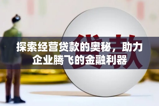 泰顺探索经营贷款的奥秘，助力企业腾飞的金融利器