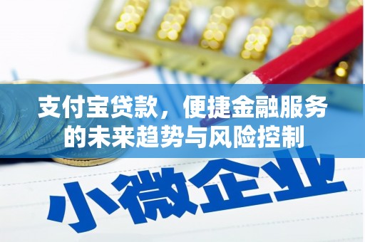 泰顺支付宝贷款，便捷金融服务的未来趋势与风险控制