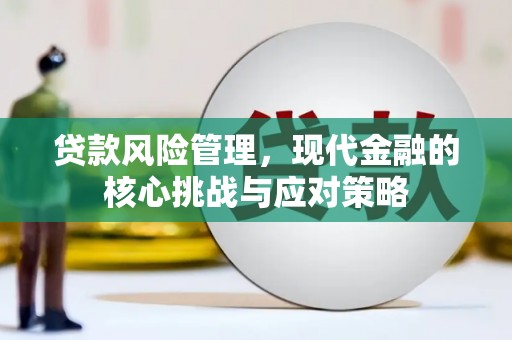泰顺贷款风险管理，现代金融的核心挑战与应对策略