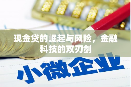 泰顺现金贷的崛起与风险，金融科技的双刃剑