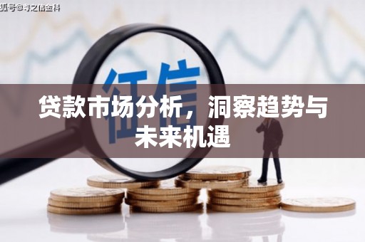泰顺贷款市场分析，洞察趋势与未来机遇
