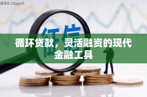 泰顺循环贷款，灵活融资的现代金融工具