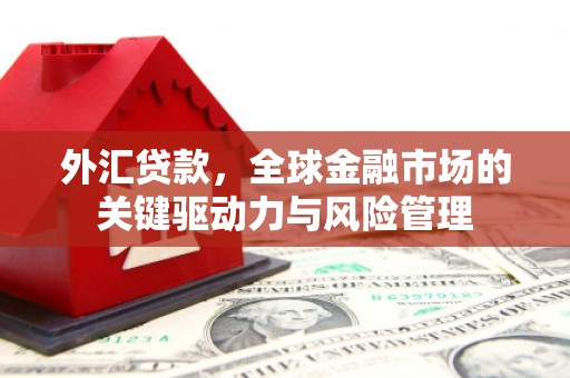 泰顺外汇贷款，全球金融市场的关键驱动力与风险管理