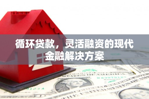 泰顺循环贷款，灵活融资的现代金融解决方案