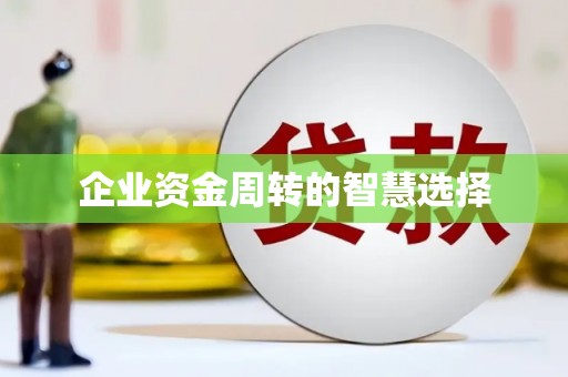 泰顺企业资金周转的智慧选择