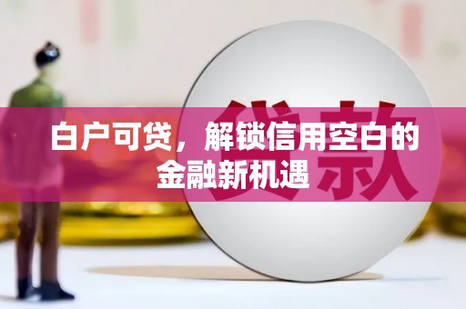 泰顺白户可贷，解锁信用空白的金融新机遇