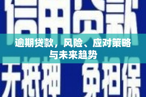 泰顺逾期贷款，风险、应对策略与未来趋势