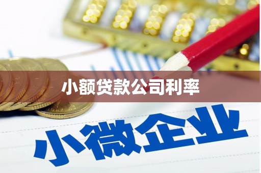泰顺小额贷款公司利率