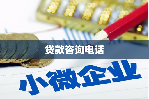 泰顺贷款咨询电话