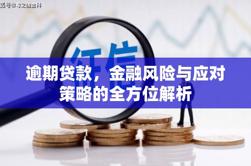泰顺逾期贷款，金融风险与应对策略的全方位解析