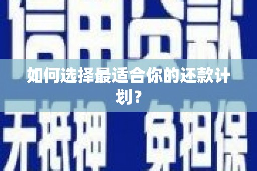 泰顺如何选择最适合你的还款计划？