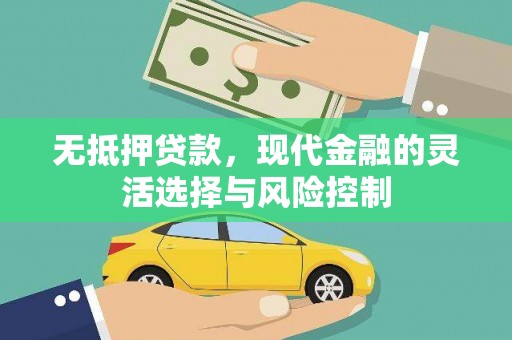 泰顺无抵押贷款，现代金融的灵活选择与风险控制