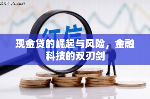 泰顺现金贷的崛起与风险，金融科技的双刃剑