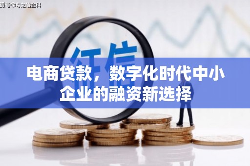 泰顺电商贷款，数字化时代中小企业的融资新选择