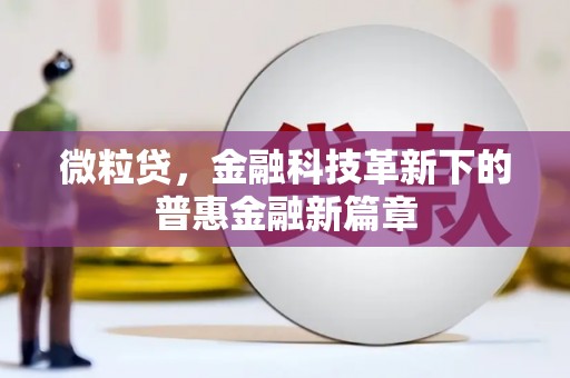 泰顺微粒贷，金融科技革新下的普惠金融新篇章