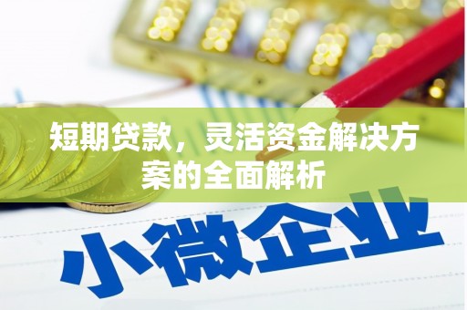 泰顺短期贷款，灵活资金解决方案的全面解析
