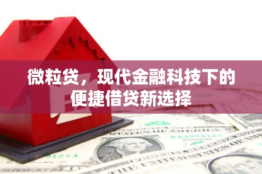 泰顺微粒贷，现代金融科技下的便捷借贷新选择