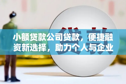 泰顺小额贷款公司贷款，便捷融资新选择，助力个人与企业成长