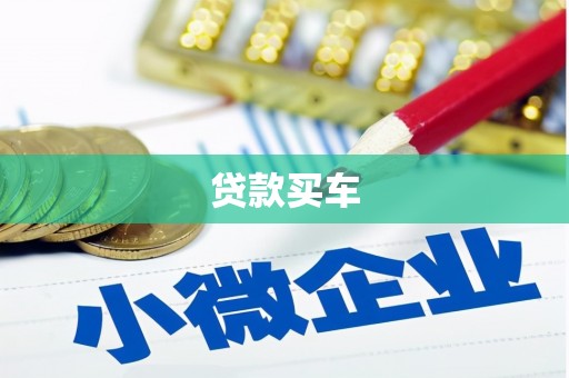 泰顺贷款买车