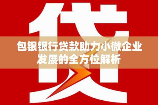 泰顺包银银行贷款助力小微企业发展的全方位解析