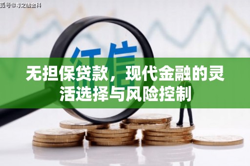 泰顺无担保贷款，现代金融的灵活选择与风险控制