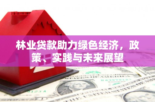 泰顺林业贷款助力绿色经济，政策、实践与未来展望
